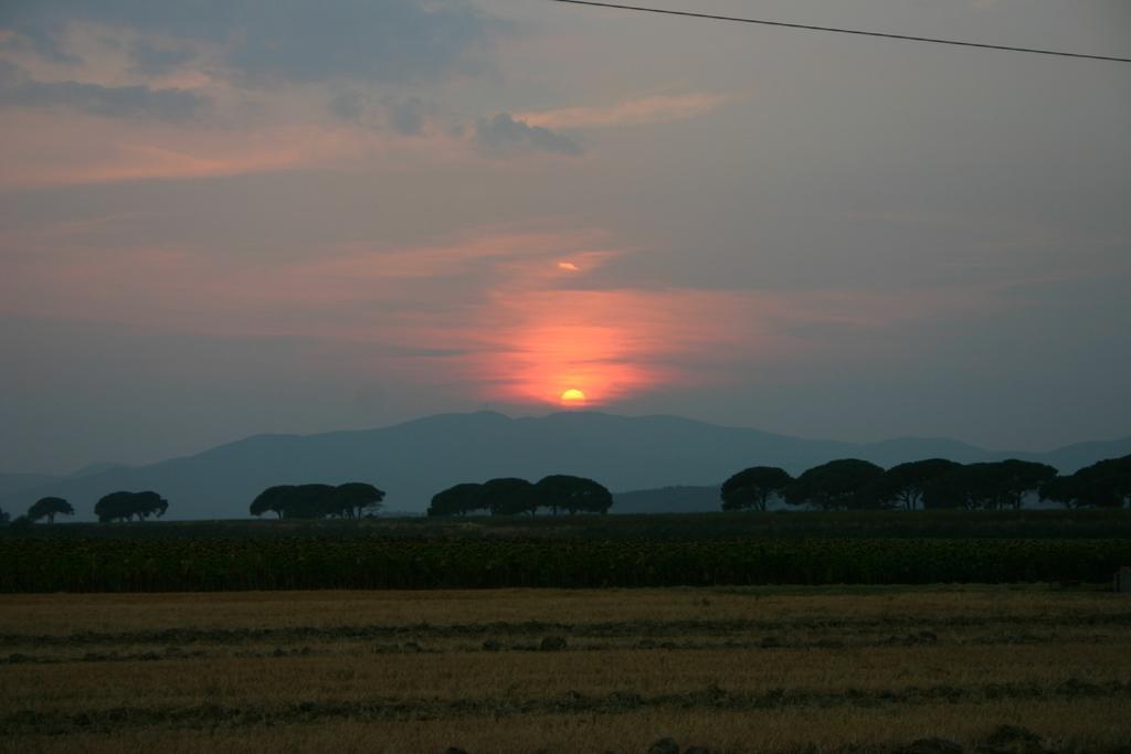 Appartamenti Il Granaio Marina di Grosseto Exteriör bild