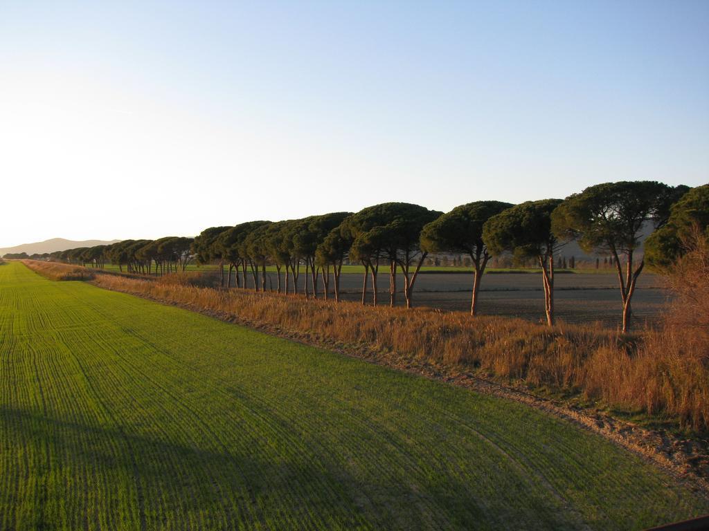 Appartamenti Il Granaio Marina di Grosseto Exteriör bild