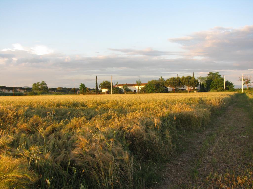 Appartamenti Il Granaio Marina di Grosseto Exteriör bild