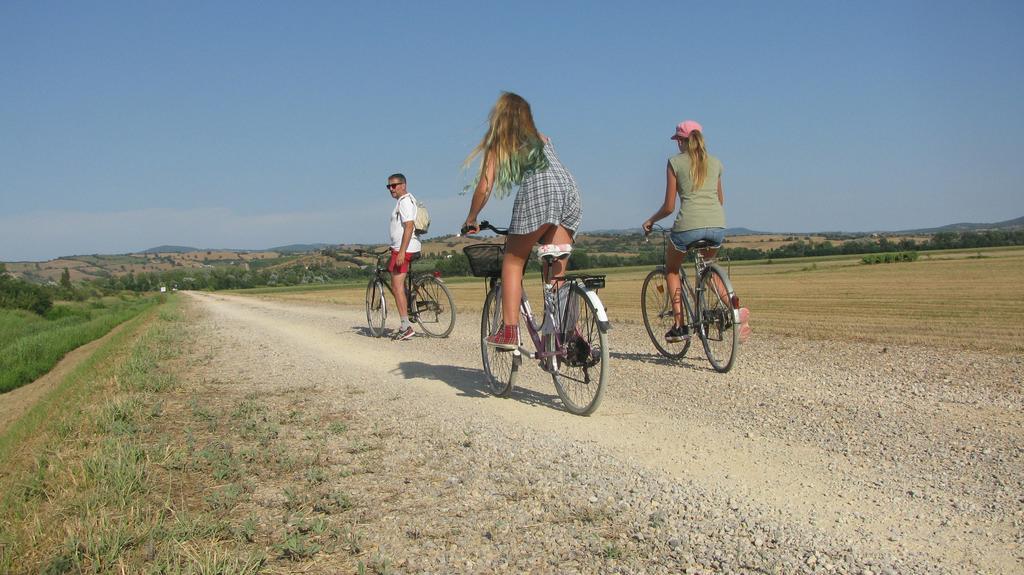 Appartamenti Il Granaio Marina di Grosseto Exteriör bild